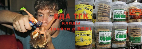 мдпв Горняк