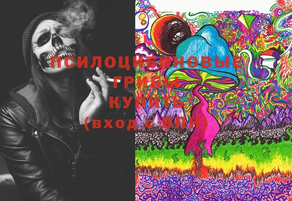 мдпв Горняк